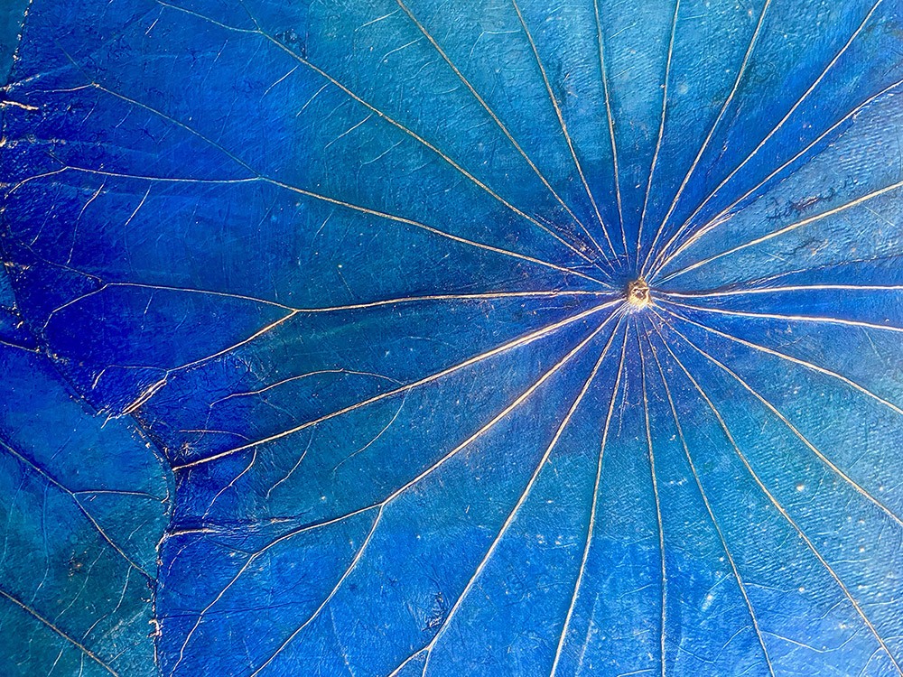 Wanddekor Lotus, blau - ca. 30x30x4 cm